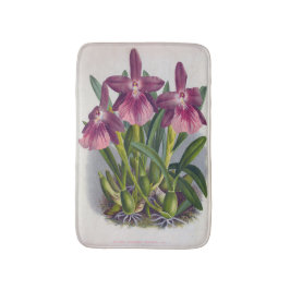 Tapete De Banheiro Orquídeas Roxas Vintage Miltonia Spectabilis