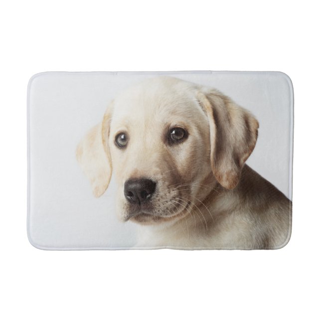 Tapete De Banheiro Ouro Labrador Puppy (Frente)