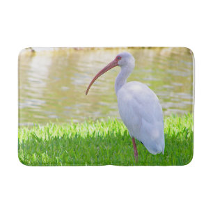 Tapete De Banheiro Pássaro Água Ibis Branco Numa Perna Em Foto De Gra