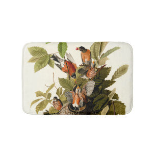 Tapete De Banheiro Pássaro Americano Robin Wildlife