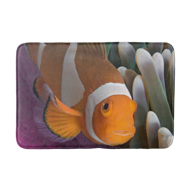 Tapete De Banheiro Peixe-palhaço-ocidental (Frente)