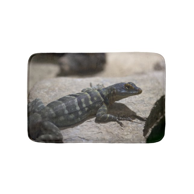 Tapete De Banheiro Petrosaurus thalassinus (frente)