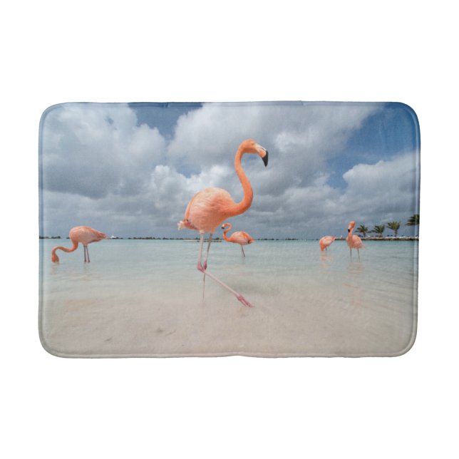 Tapete De Banheiro Praias Tropicais | Flamingos Beach, Aruba (Frente)