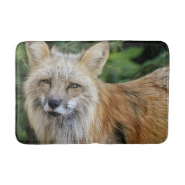 Tapete De Banheiro Raposa selvagem