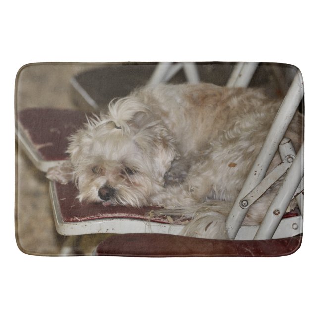 Tapete De Banheiro Rumículo (Frente)