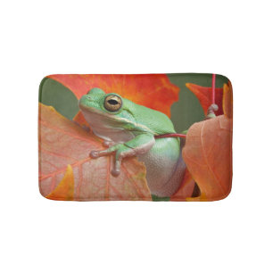 Tapete De Banheiro Sapo de árvore verde na queda