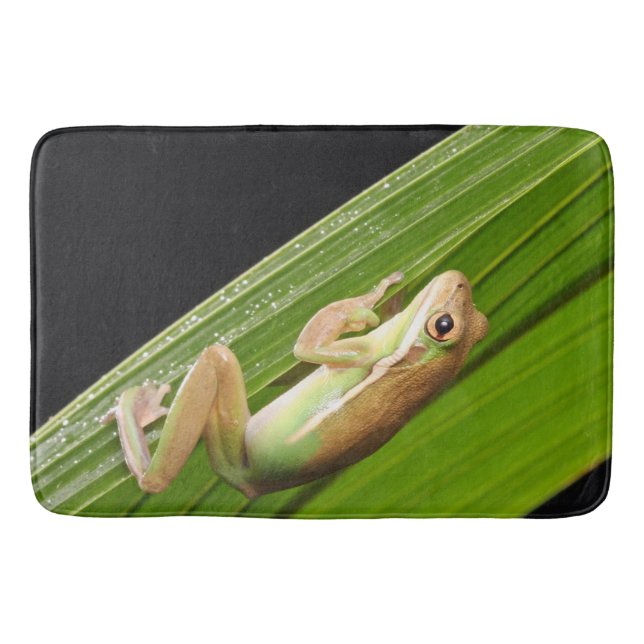 Tapete De Banheiro Sapo Pequeno Numa Folha (Frente)