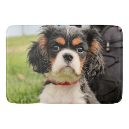 Tapete De Banheiro Sério