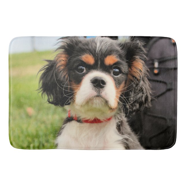 Tapete De Banheiro Sério (Frente)