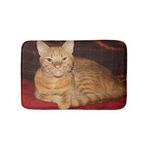 Tapete De Banheiro Sorriso alaranjado do gato de gato malhado da