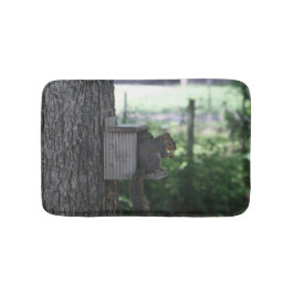 Tapete De Banheiro Squirrel Bath Mat