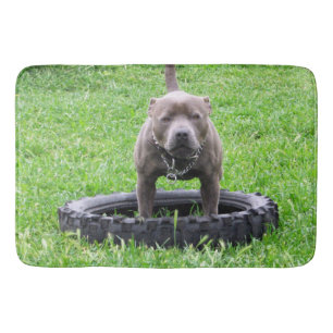 Tapete De Banheiro Staffy Bull Terrier Time To Play,