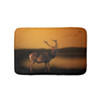 Stag Sunrise Misty Morning Deer