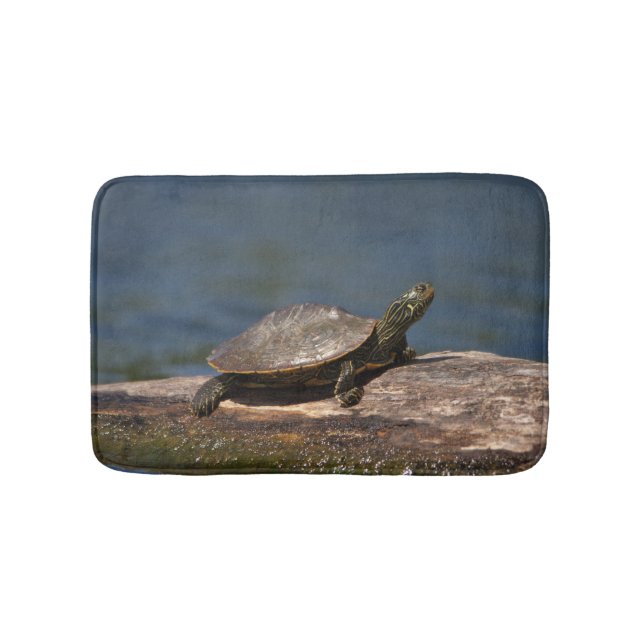 Tapete De Banheiro Tartaruga pintada em um tronco (frente)