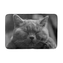 Tiro cinzento Napping da cabeça do gato