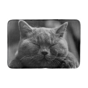 Tapete De Banheiro Tiro cinzento Napping da cabeça do gato