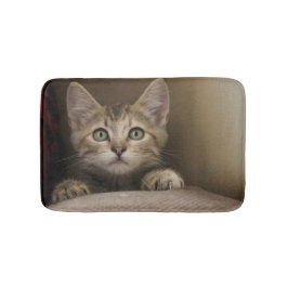 Tapete De Banheiro Um gatinho muito doce do gato malhado