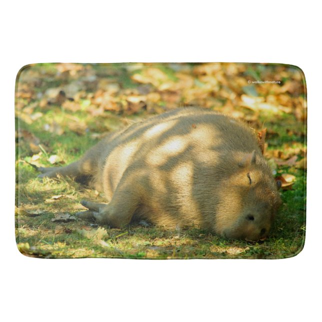 Tapete De Banheiro Uma bela Capybara Sonha no Sol de Verão (Frente)