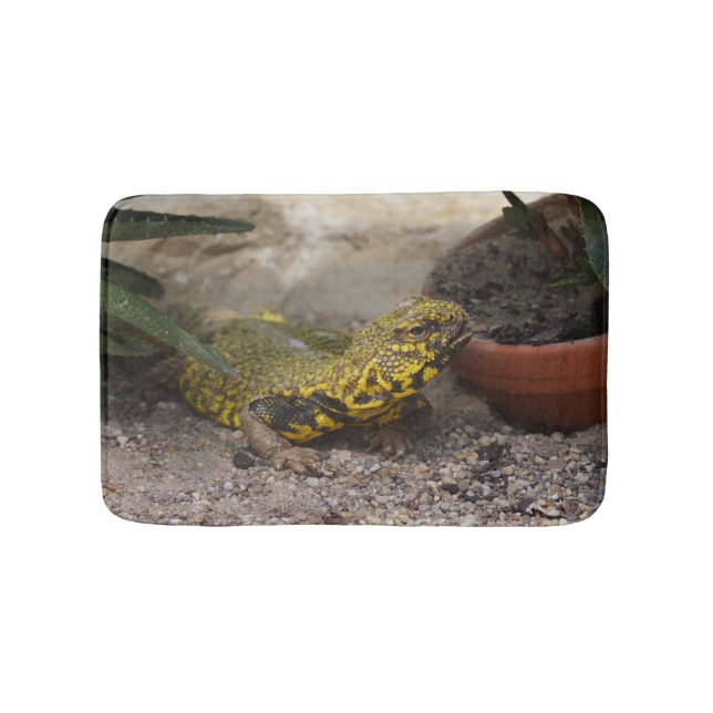 Tapete De Banheiro Uromastyx geyri (frente)