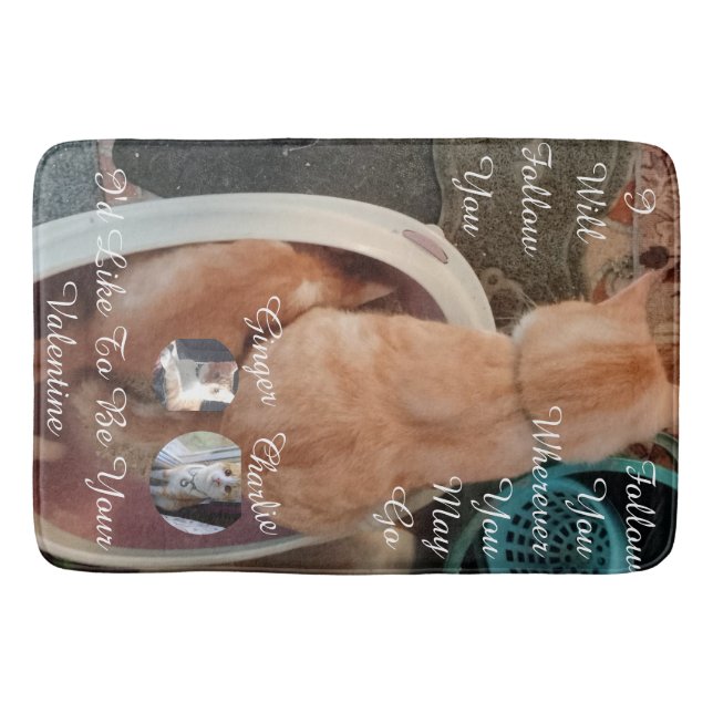 Tapete De Banheiro Valentine's Humor Cats Photo Text (Frente)