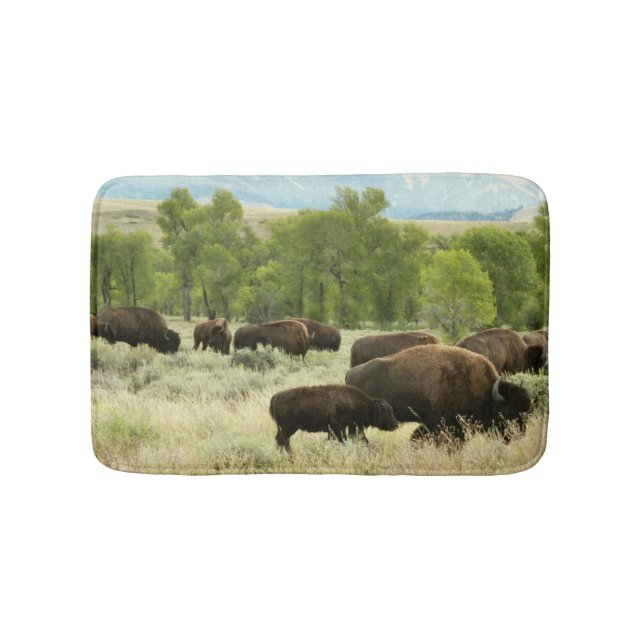 Tapete De Banheiro Wyoming Bison Nature (frente)