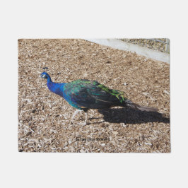 tapete de entrada de Pavão Azul Indiano