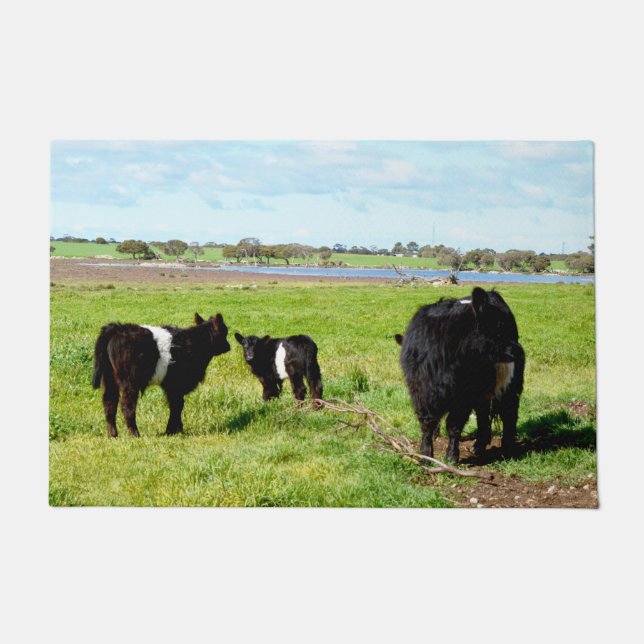 Tapete De Mummy And Baby Galloway Cows (Frente)
