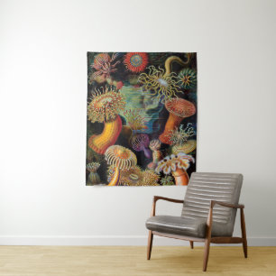Tapete De Parede a arte da natureza por Ernst Haeckel