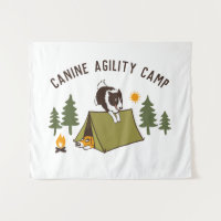 Acampamento de Collie de Borda Cachorro de Agilida