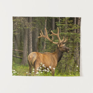 Tapete De Parede Alce macho em veludo, Canadá