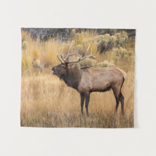 Tapete De Parede Alce macho Parque Nacional de Yellowstone