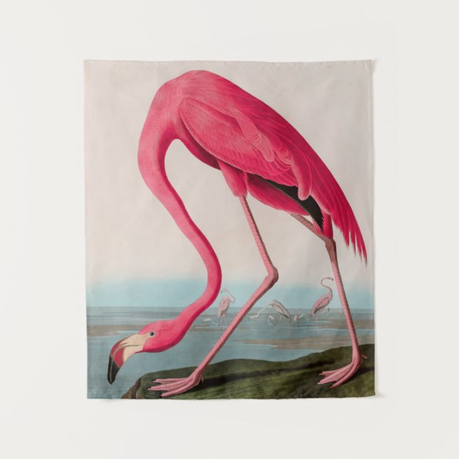 Tapete De Parede American Flamingo Birds of America Audubon Impress (Frente)