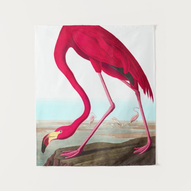 Tapete De Parede American Flamingo, por John James Audubon (Frente)