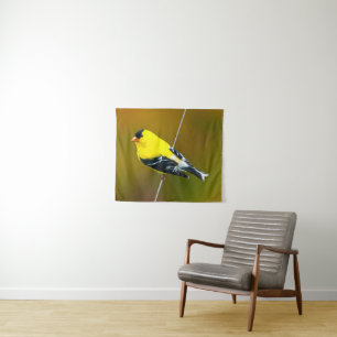 Tapete De Parede American Goldfinch - Fotografia original