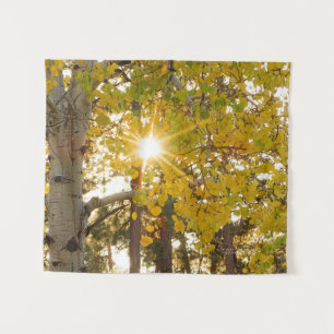 Tapete De Parede Árvore Aspen Com Folhagem Amarela Quebra Sunburst 