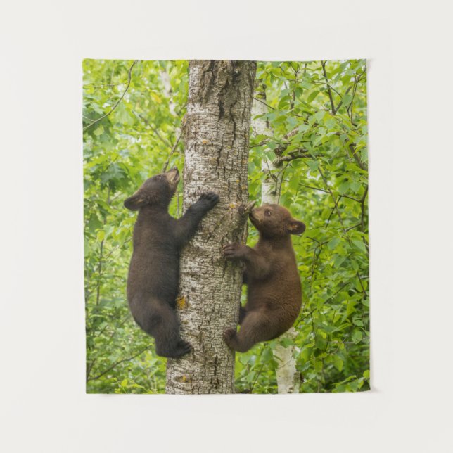 Tapete De Parede Árvore Subindo Urso Negro (Frente)