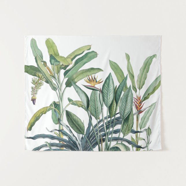 Tapete De Parede Árvore Tropical de Banana Verde Tropical Strelitzi (Frente (Horizontal))