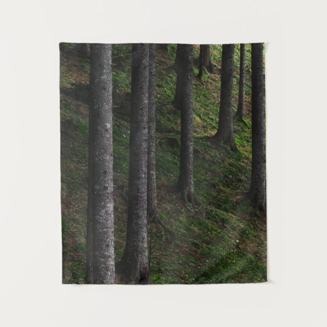 Tapete De Parede Árvores e musgo verde (Frente)