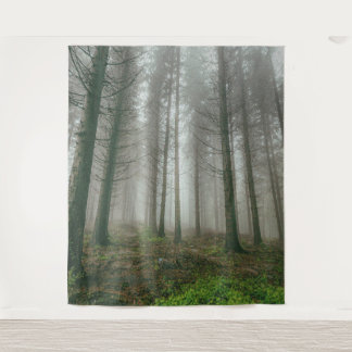 Tapete De Parede Árvores florestais de inverno #11