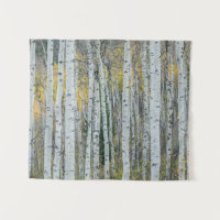 Aspen troncos de árvore | Aspen, Colorado