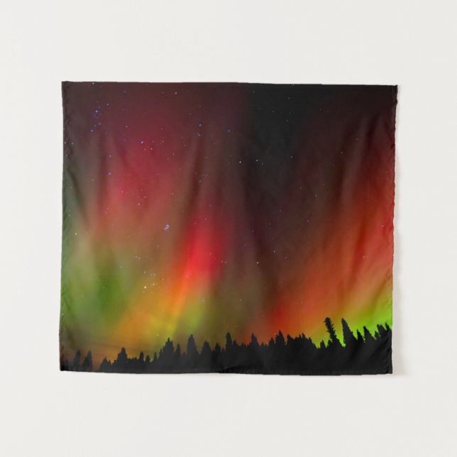 Tapete De Parede Aurora Boreal e árvores (Frente (Horizontal))