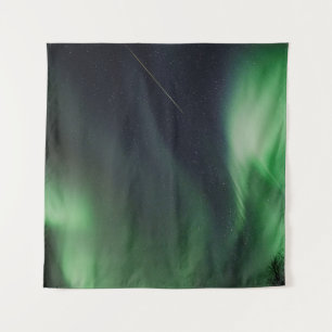 TAPETE DE PAREDE AURORA BOREALIS DURANTE A NOITE