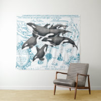 Azul antigo da família das baleias da orca