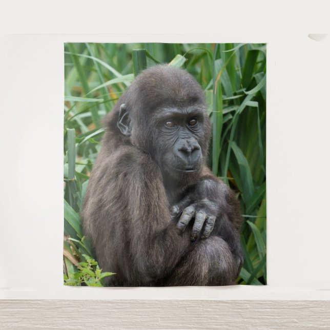 Tapete De Parede Baby Gorilla (Frente)