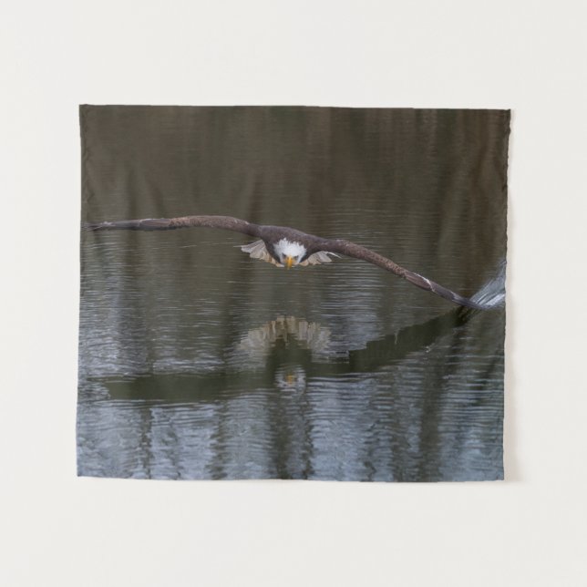 Tapete De Parede Bald Eagle em Voo (Frente (Horizontal))