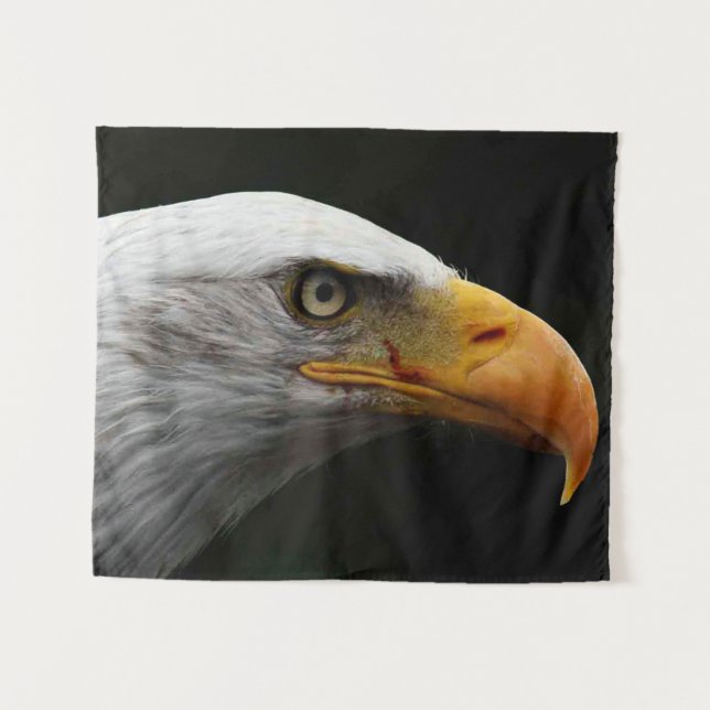 Tapete De Parede Bald Eagle wtcna (Frente (Horizontal))
