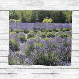 Tapete De Parede Banco no Meio de um Campo de Lavanda