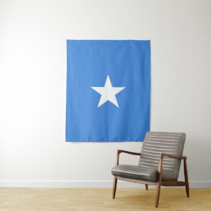 Tapete De Parede Bandeira da Somália