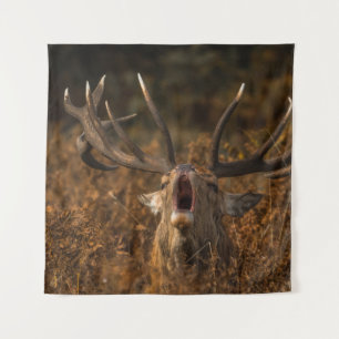 TAPETE DE PAREDE BEAUTIFUL REINDEER WILD ANIMALS
