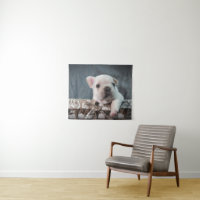 Bebês Mais Pobres | Buldogue francês